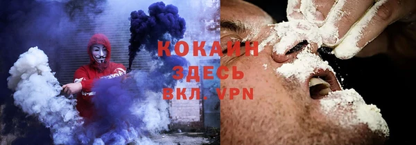 крисы Баксан