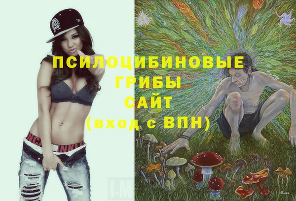 синтетический гашиш Армянск