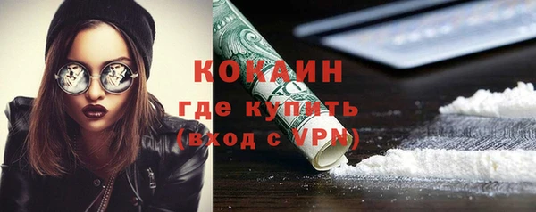 спайс Арсеньев
