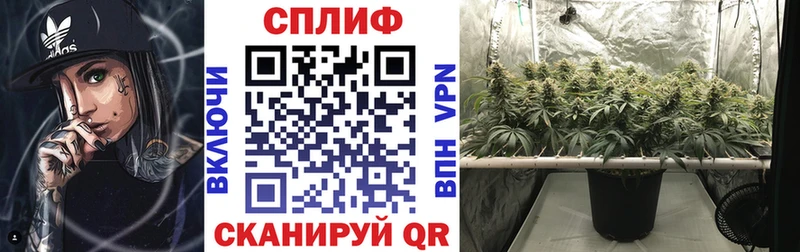 Бошки Шишки планчик  купить   Кукмор 